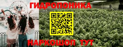 стаф Заводоуковск