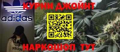 сатива Заволжье