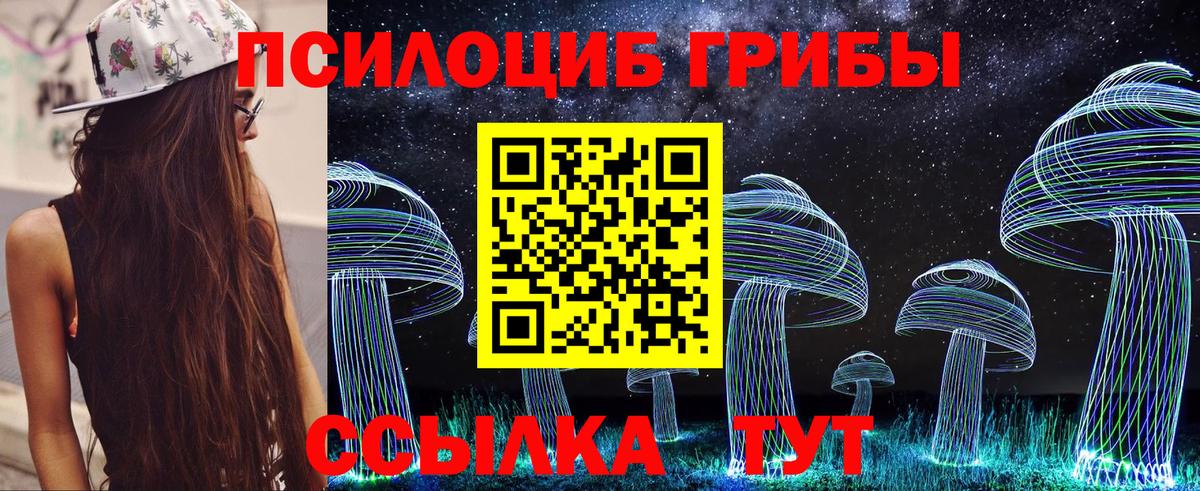 Галлюциногенные грибы GOLDEN TEACHER Камень-на-Оби
