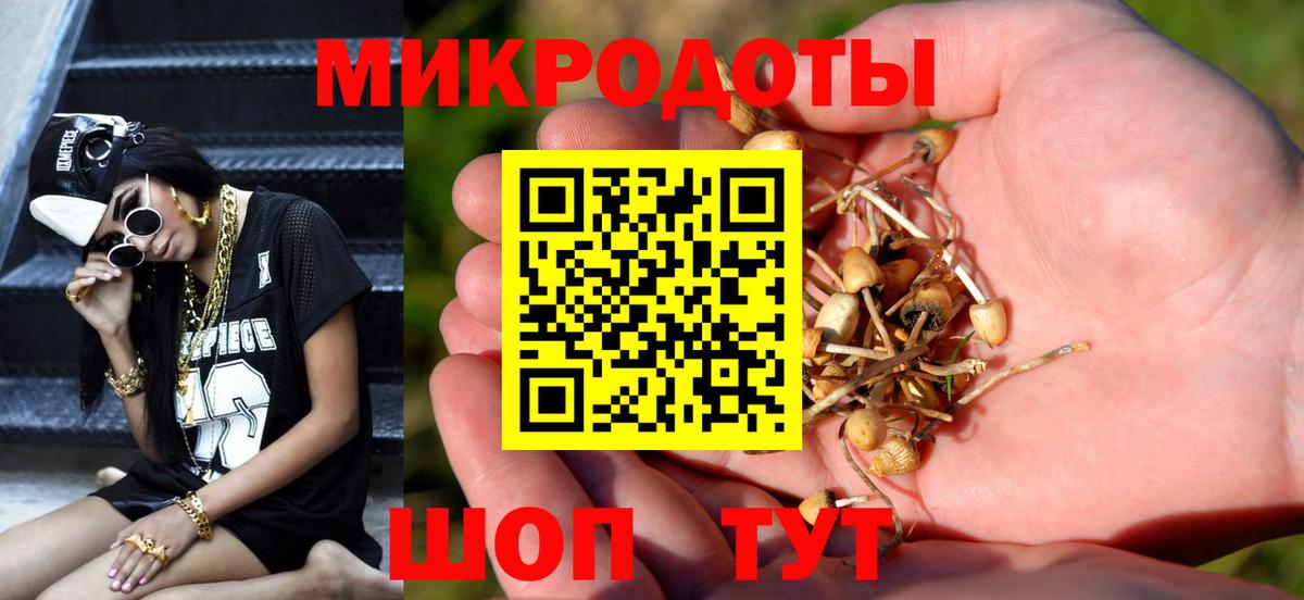 Псилоцибиновые грибы мухоморы  Вход с VPN  Камень-на-Оби 